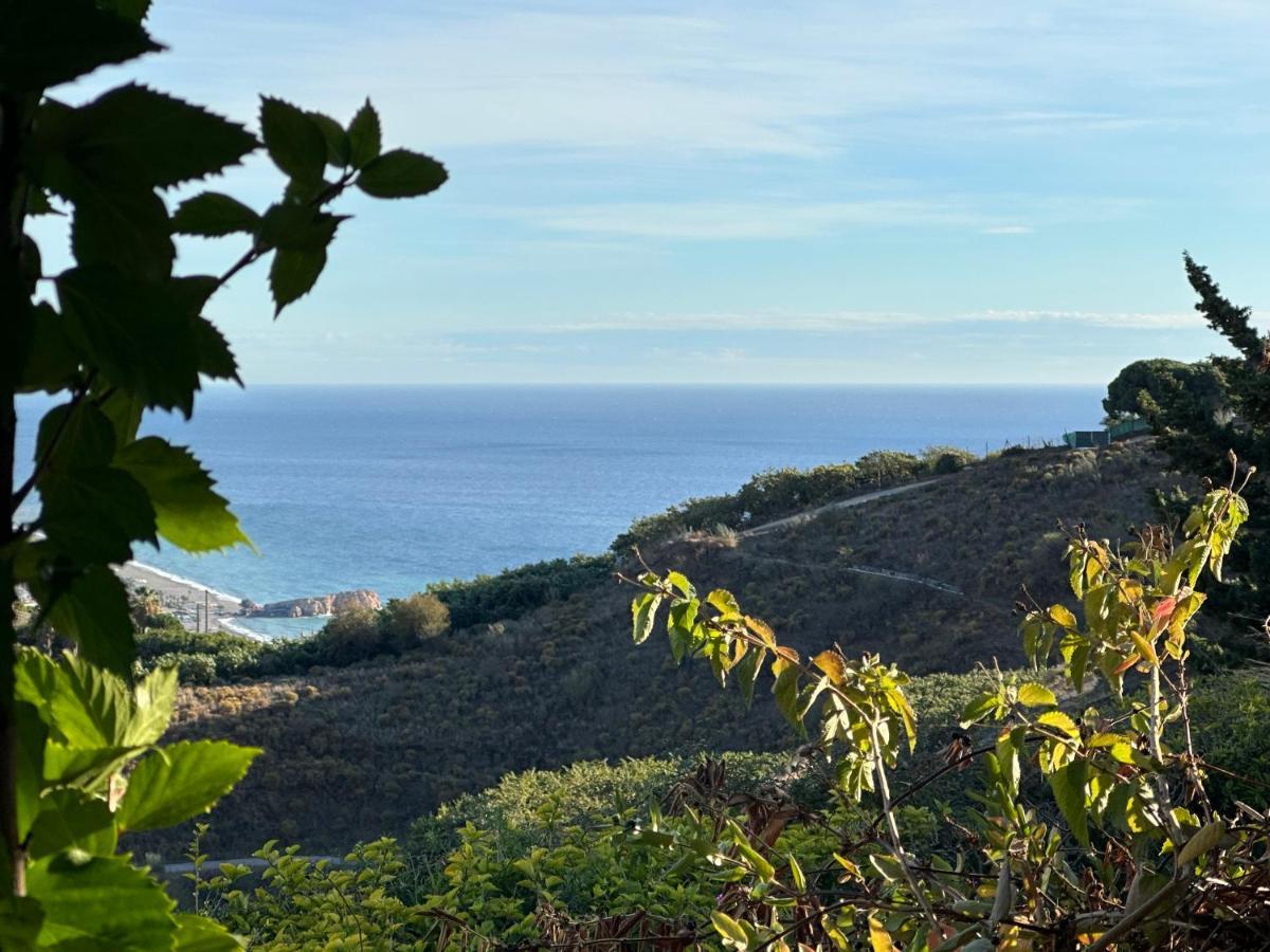 El Paraiso De Salobreña מראה חיצוני תמונה
