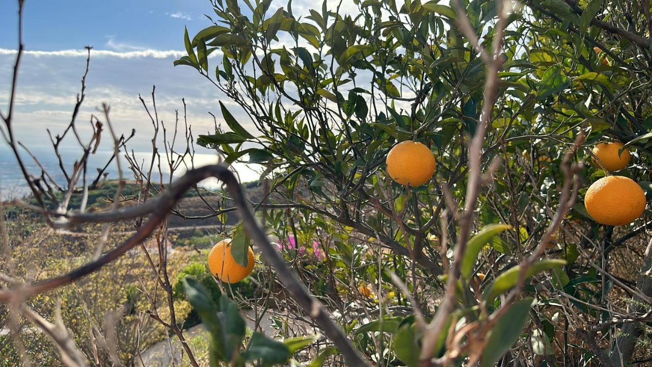 El Paraiso De Salobreña מראה חיצוני תמונה